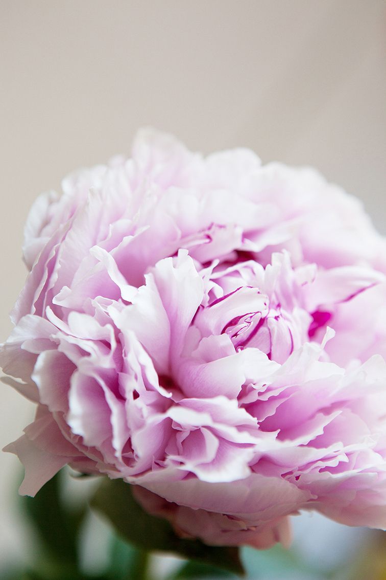 img 6926 img 6926